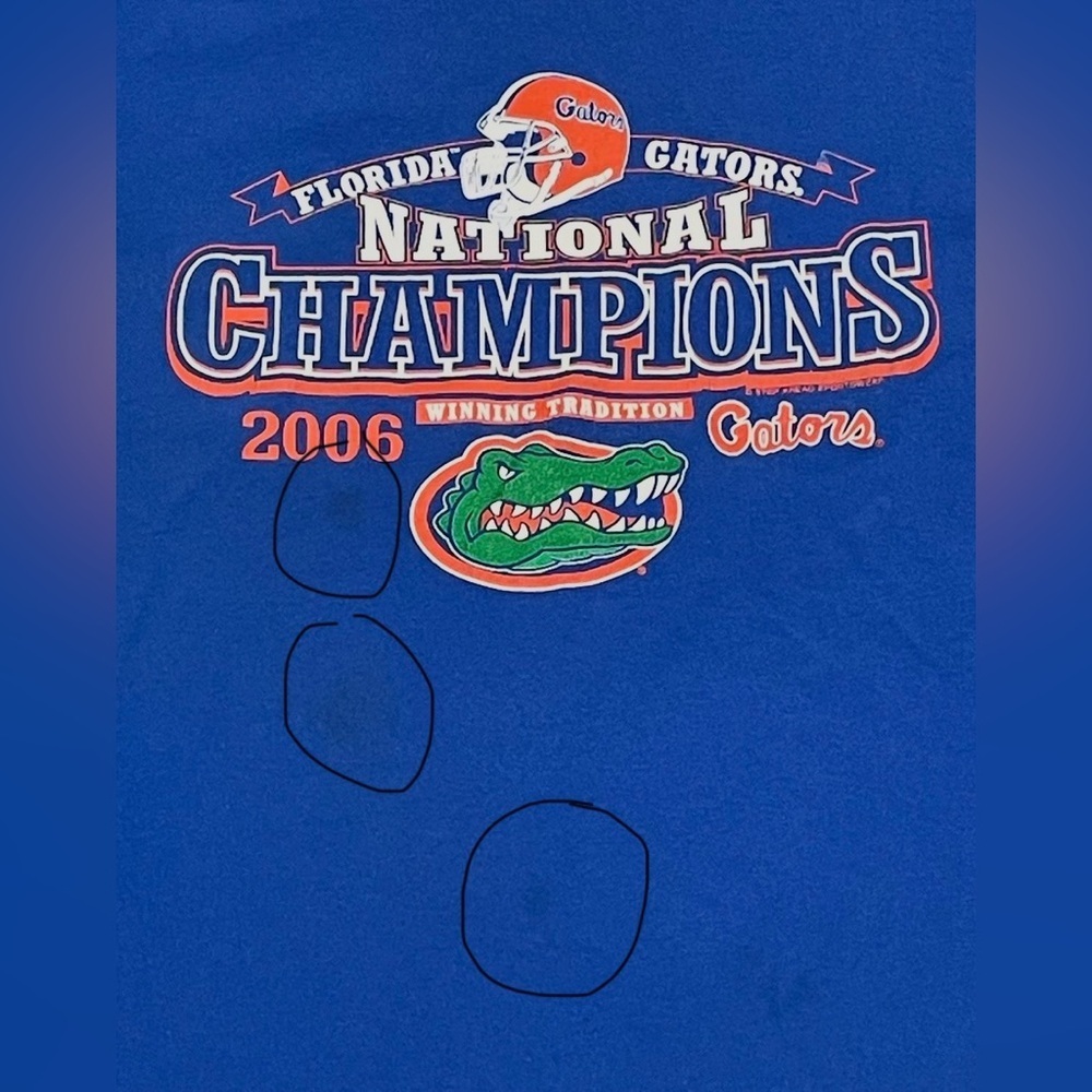 Vintage Step Ahead 2006 Florida Gators Champion Shirt Size 2XL - Picture 3 of 5